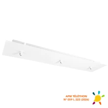 Plafonnier rectangulaire 3 câbles 120x550 mm, serre-câbles, passage de câble ø 7mm– Métal blanc (suspension multi-descente)