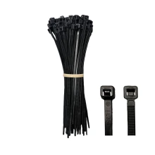Lot de 100 colliers de câblage denture intérieure – 100x2,5mm – Noir (intérieur ou extérieur)