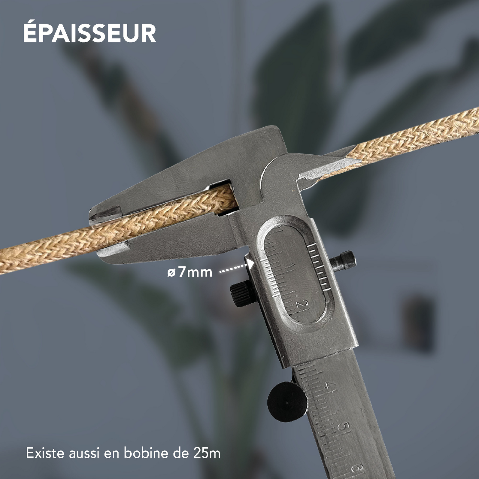 photo_accessoires_73430