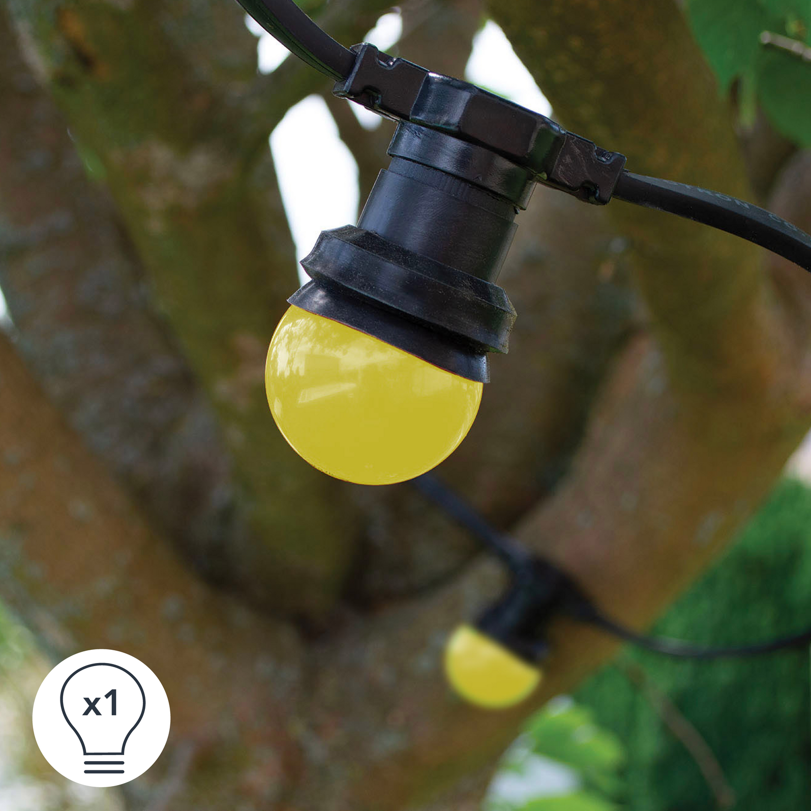 photo_complementaire_1_362130