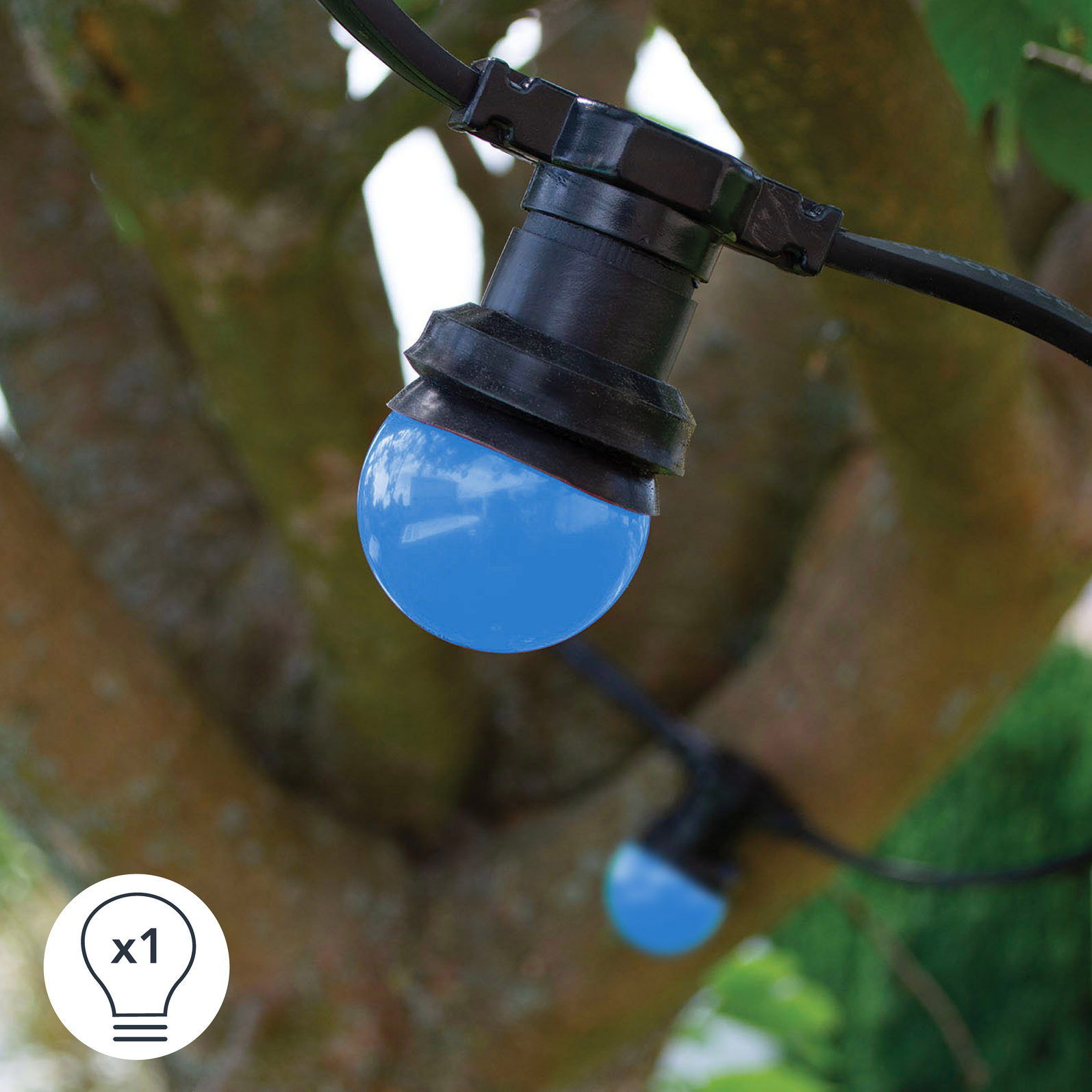 photo_complementaire_1_362170