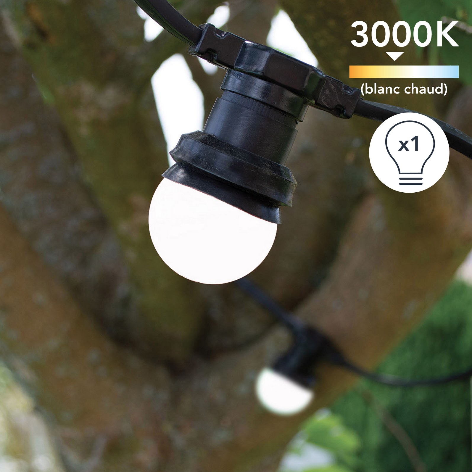 photo_complementaire_1_361910