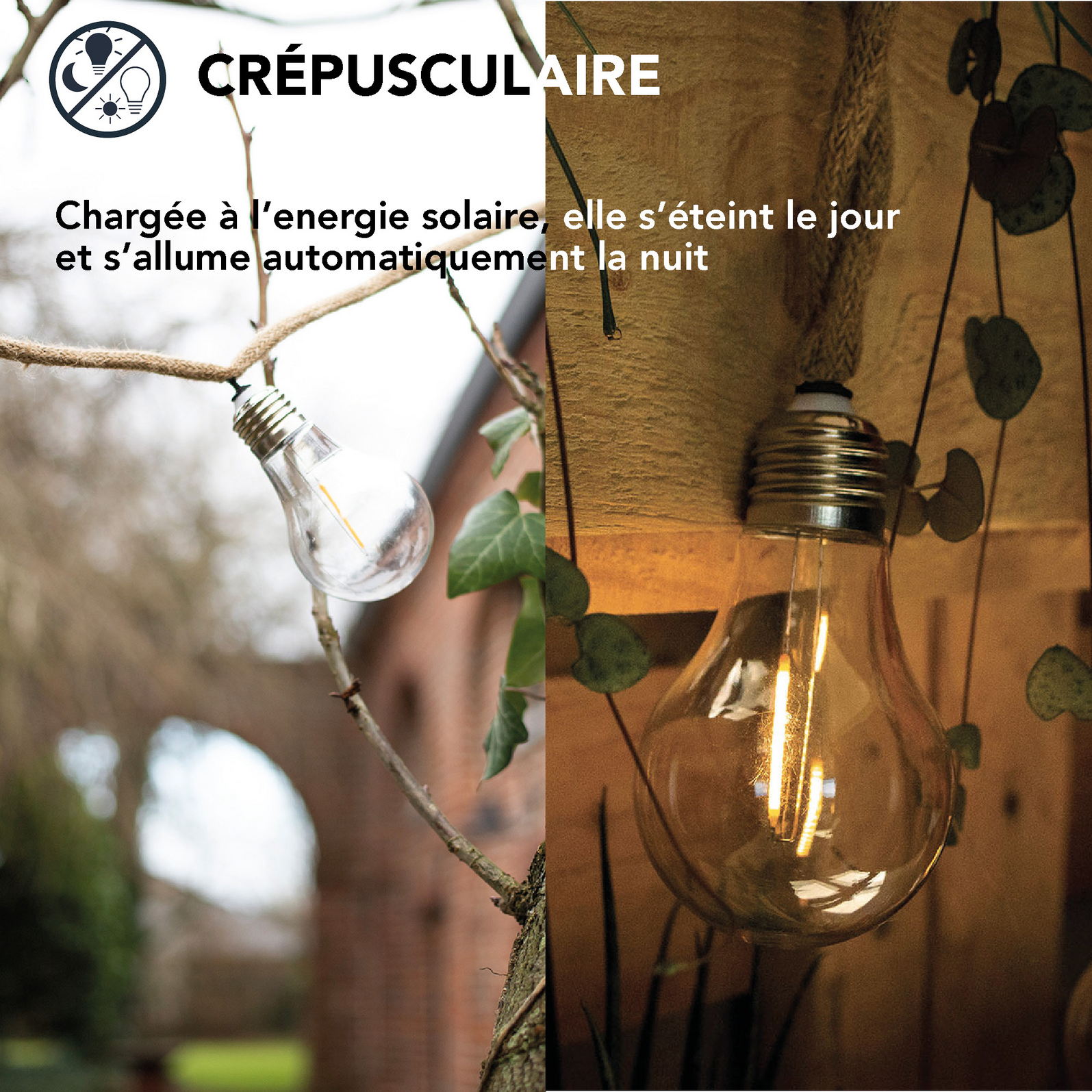 photo_complementaire_1_54560100