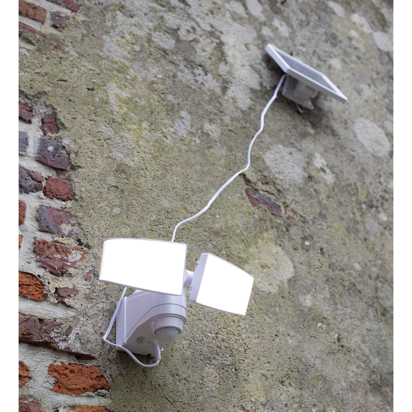 photo_complementaire_1_71197410