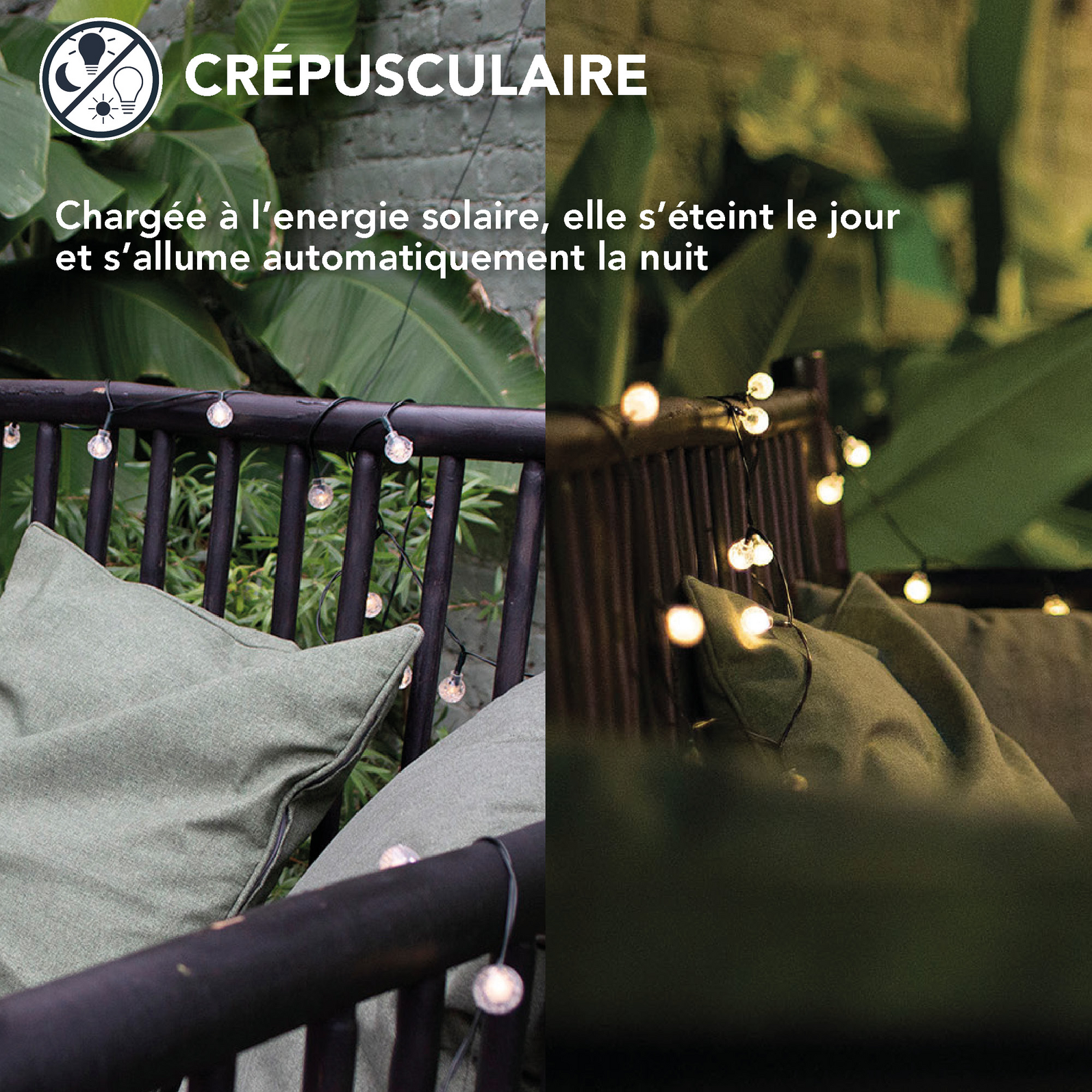 photo_complementaire_1_299710