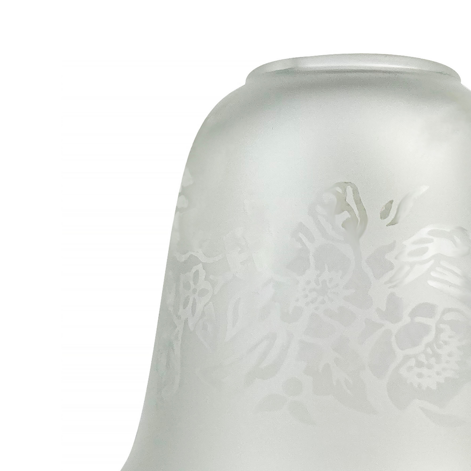 photo_complementaire_1_17230