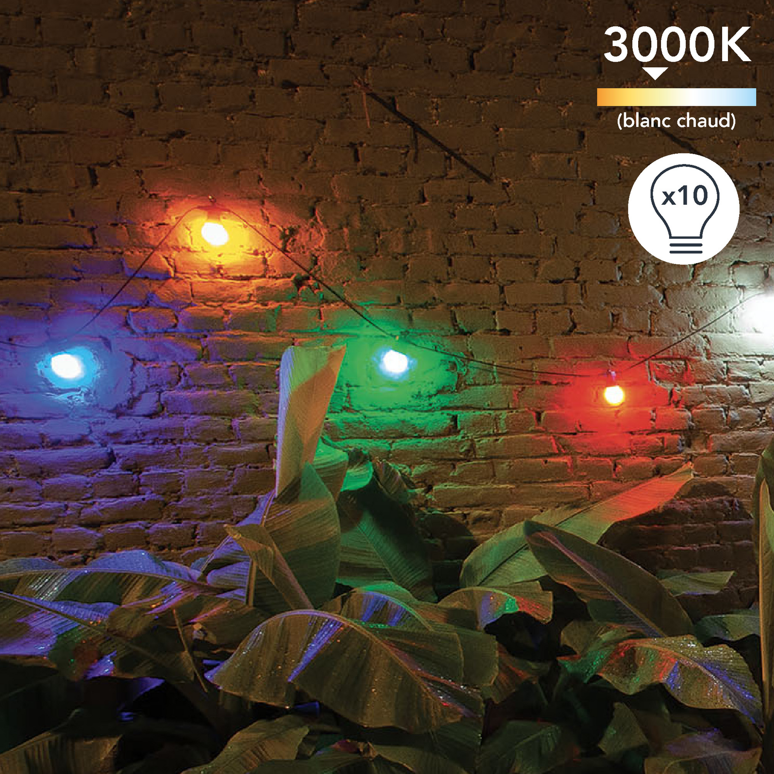 photo_de_situation_166780