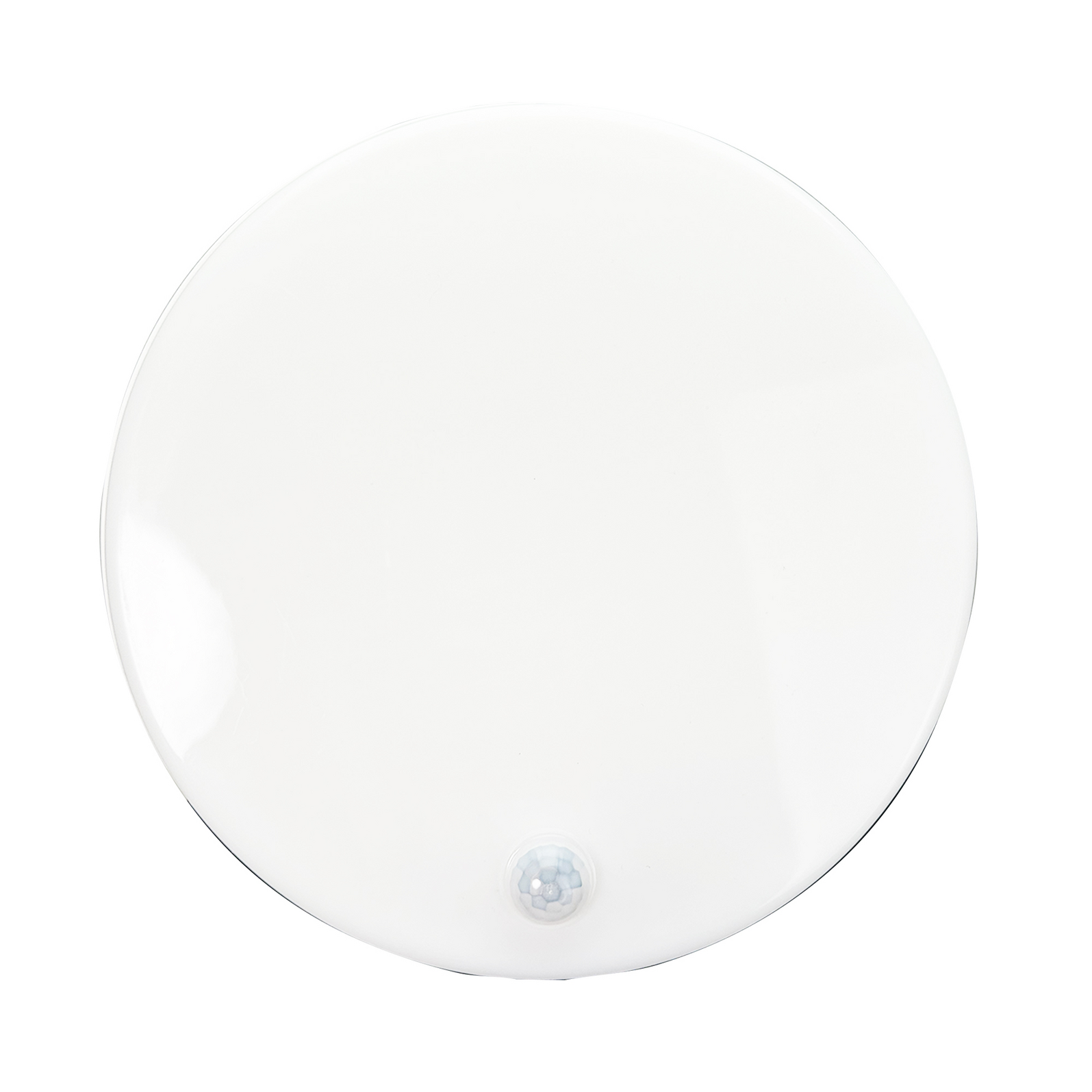 photo_de_face_64100410