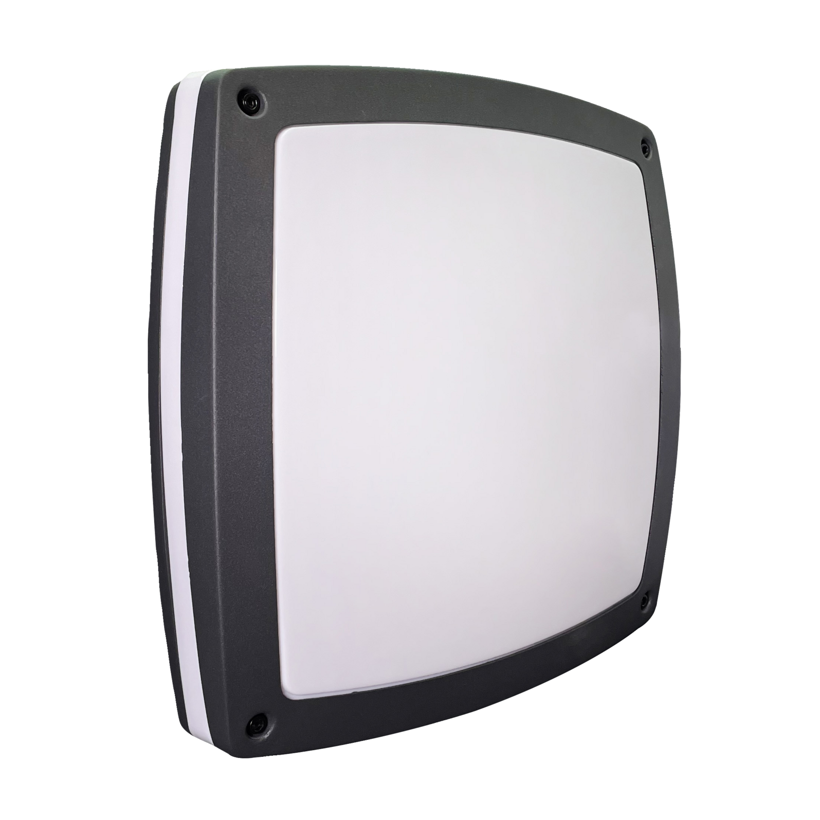 photo_principale_64108220