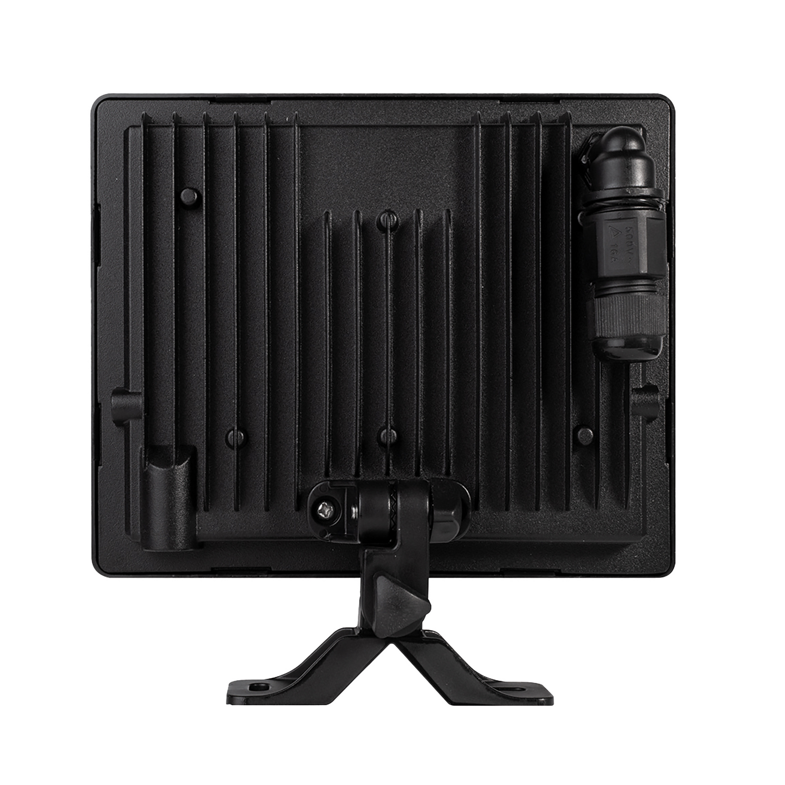 photo_arriere_345120