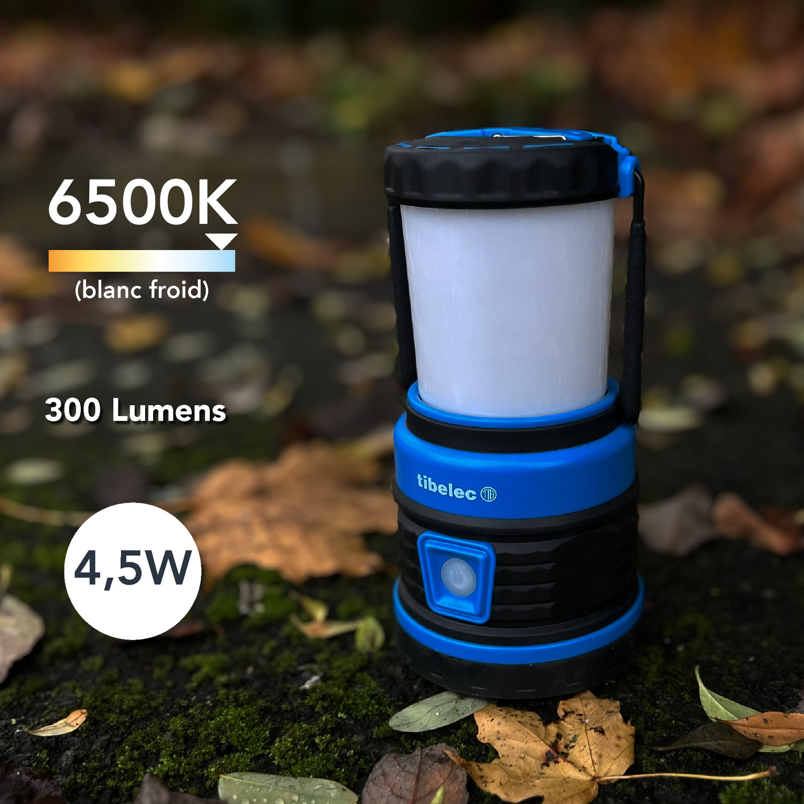 photo_de_situation_35600200