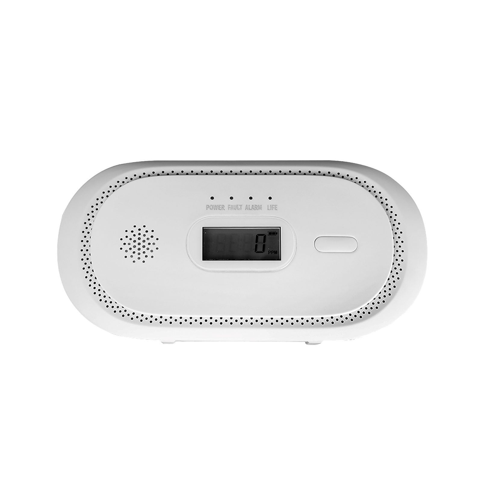 photo_de_face_8900001