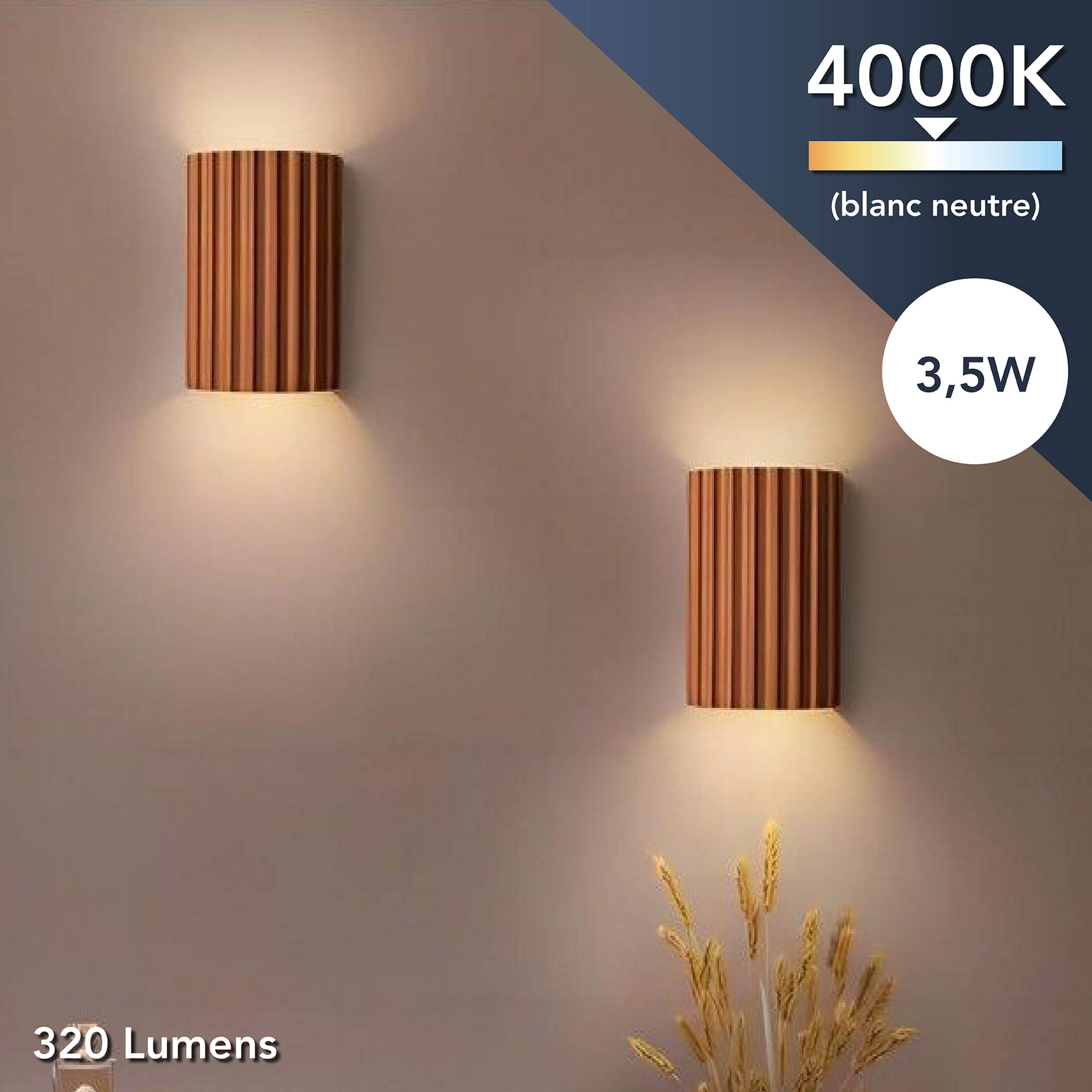 photo_de_situation_30300200