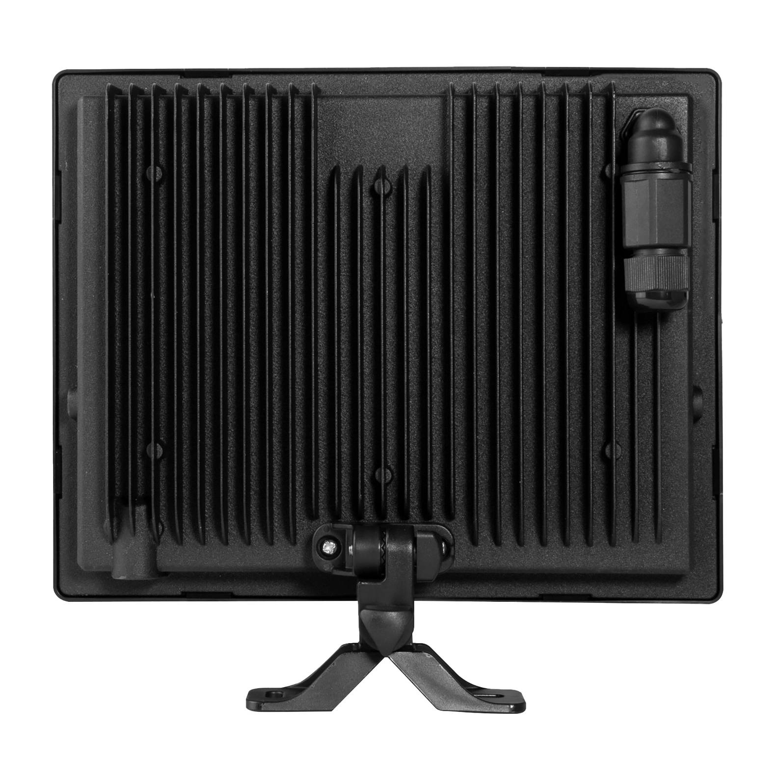 photo_arriere_345520