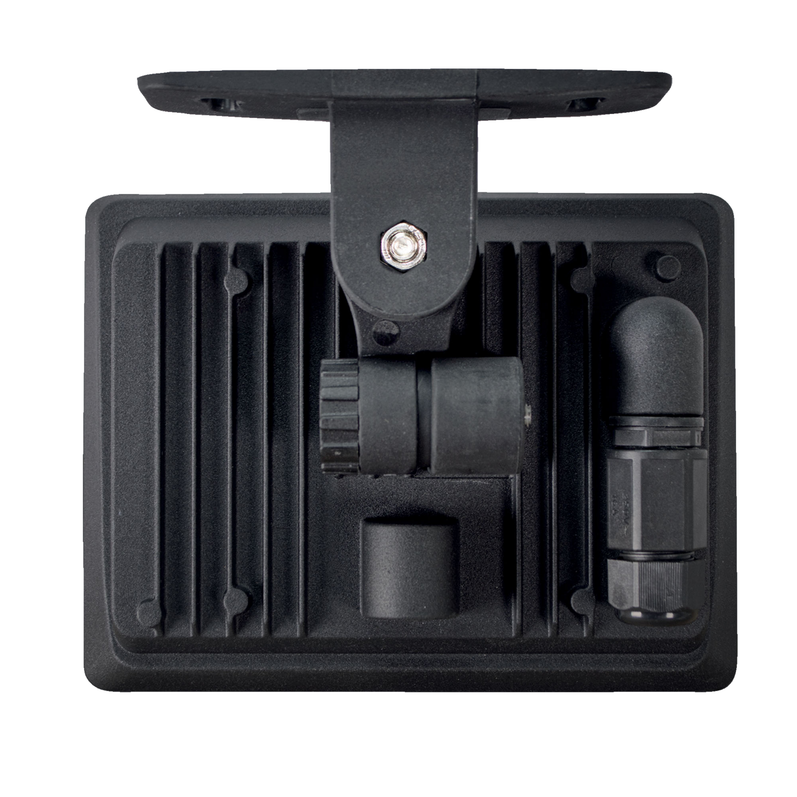 photo_arriere_358320