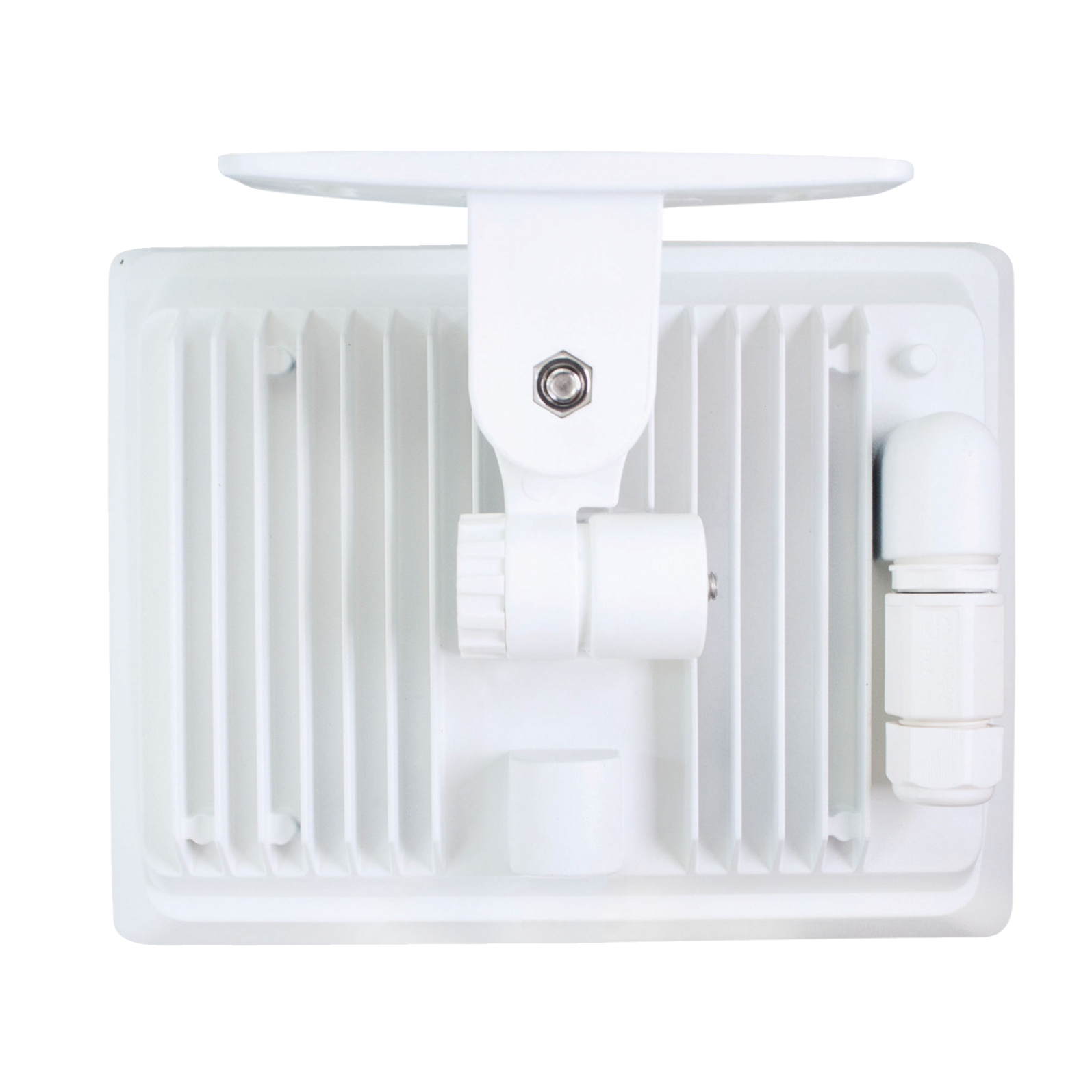 photo_arriere_358510