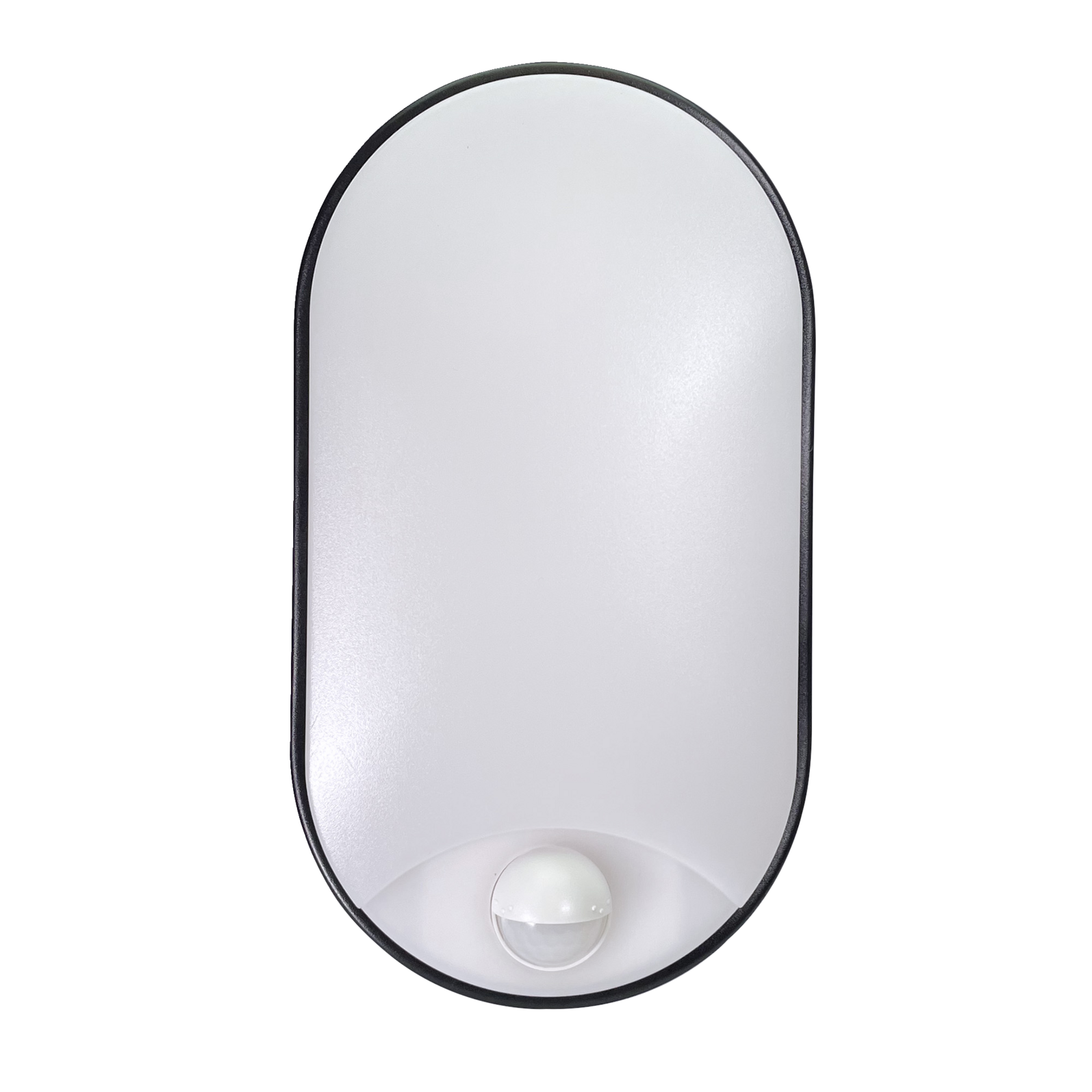 photo_de_face_64160020