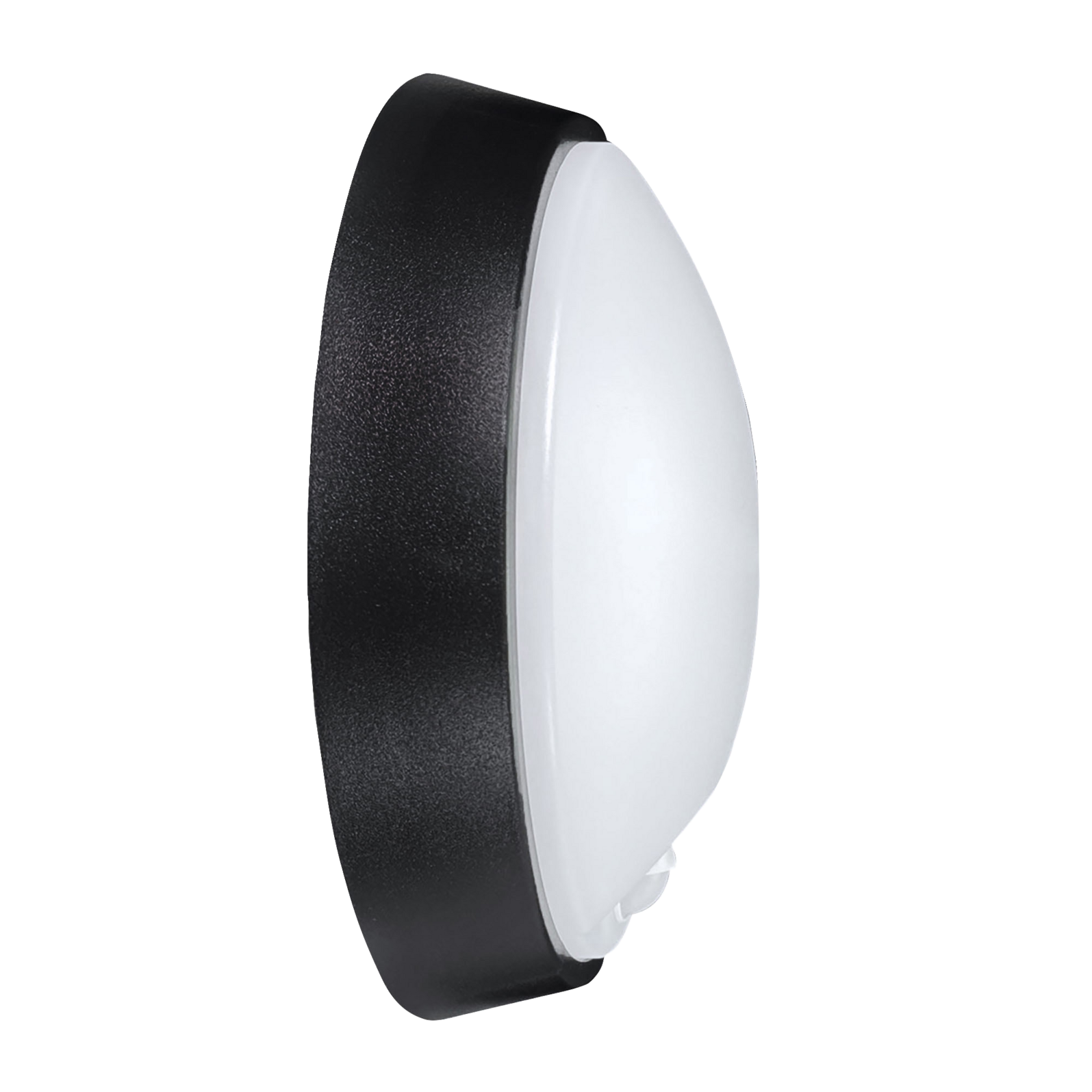 photo_de_profil_64172320