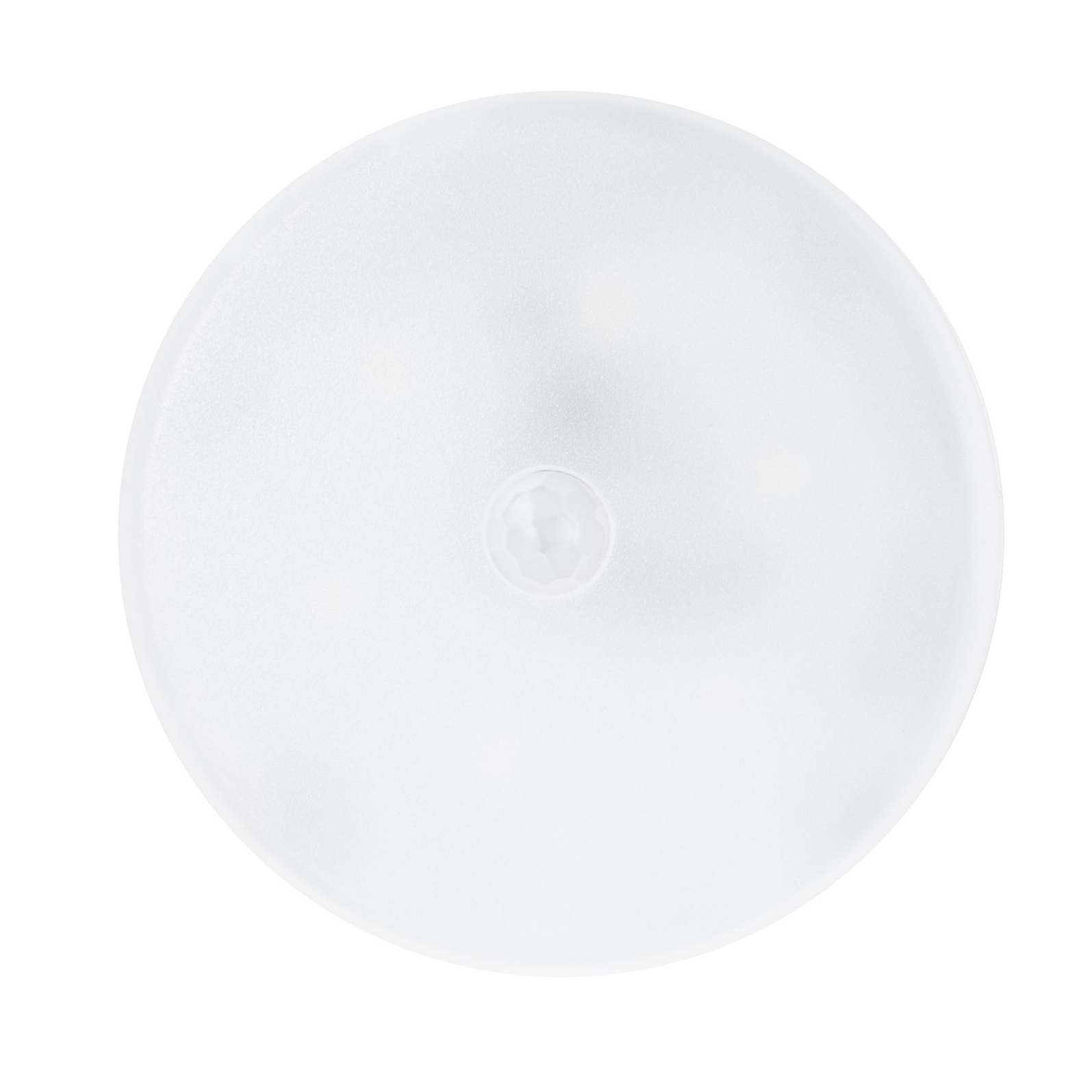 photo_de_face_342540