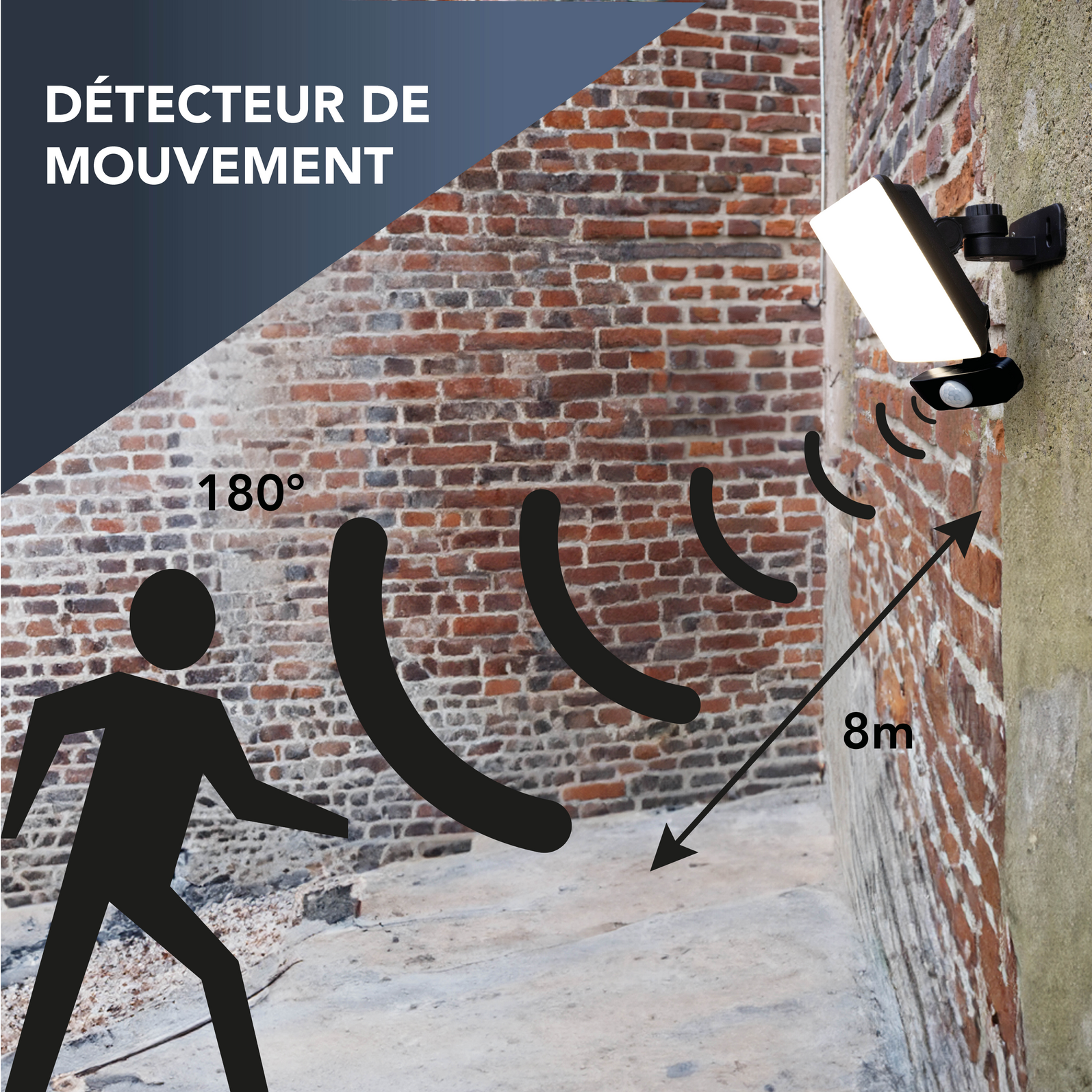 photo_detection_359220