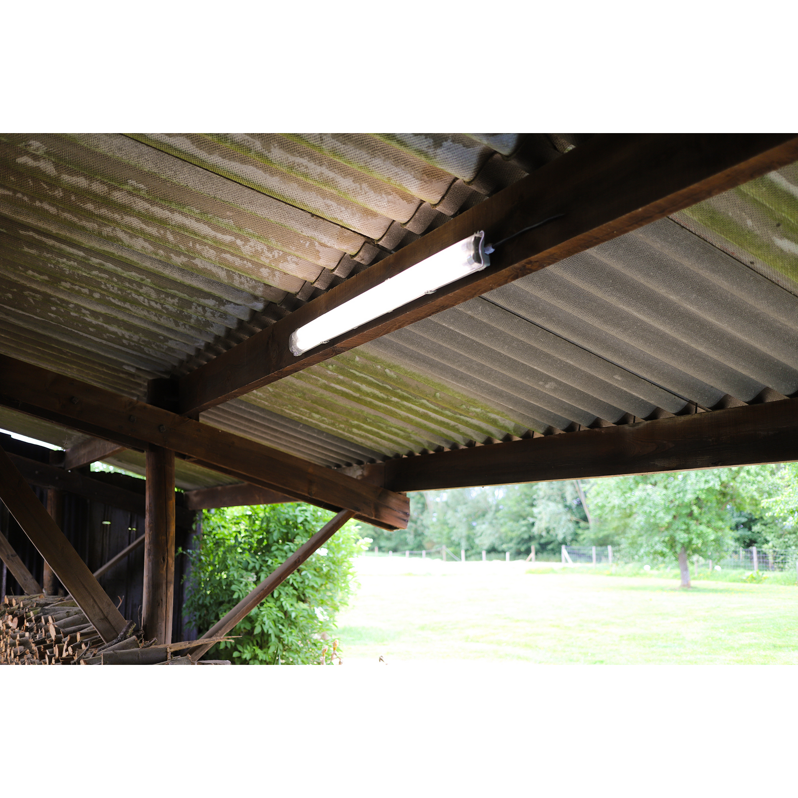 photo_complementaire_1_302510