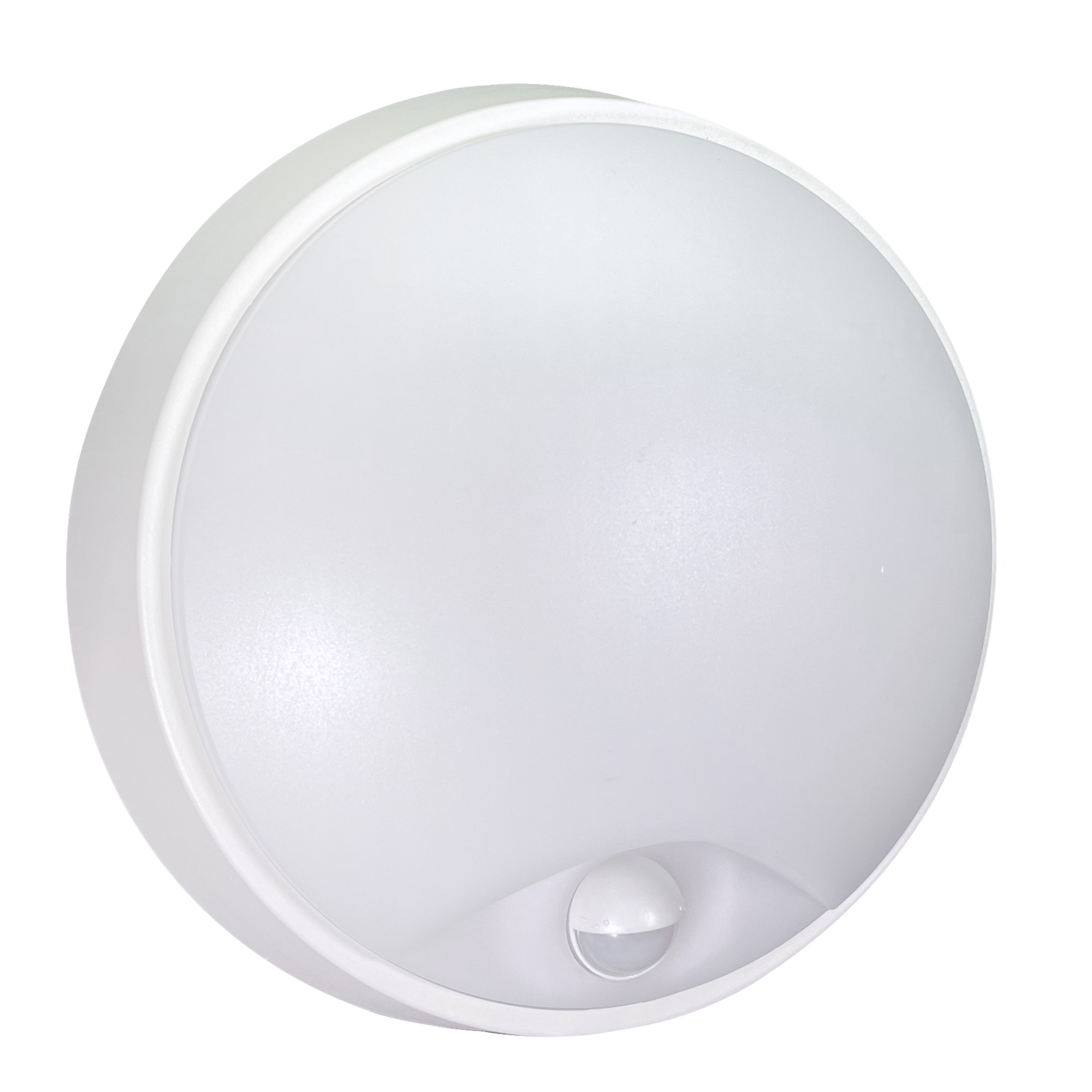 photo_principale_64172310