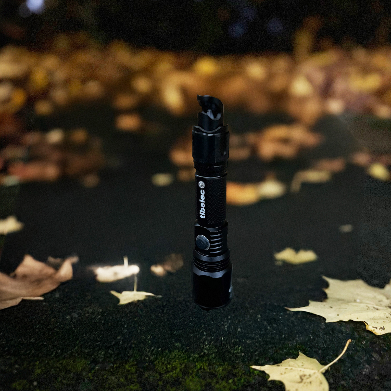 photo_de_situation_35500220