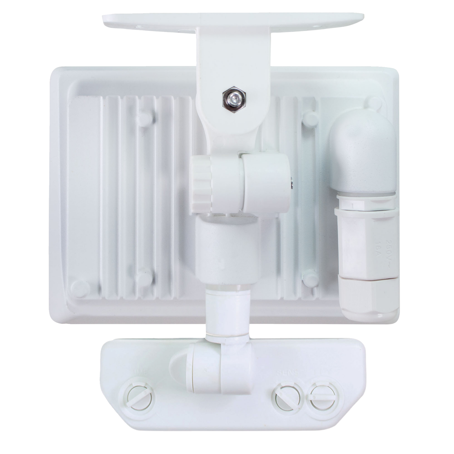 photo_arriere_359210