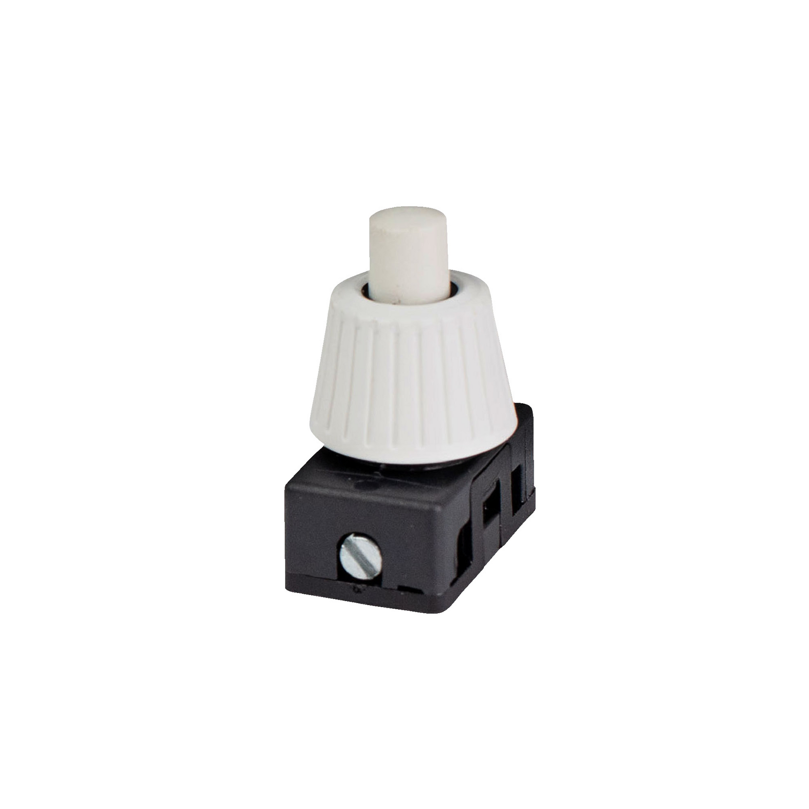 photo_principale_545210