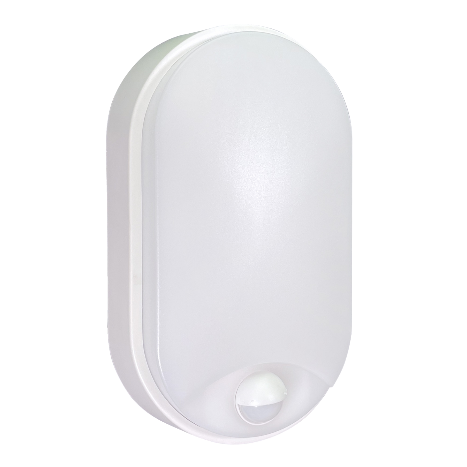 photo_principale_64160010