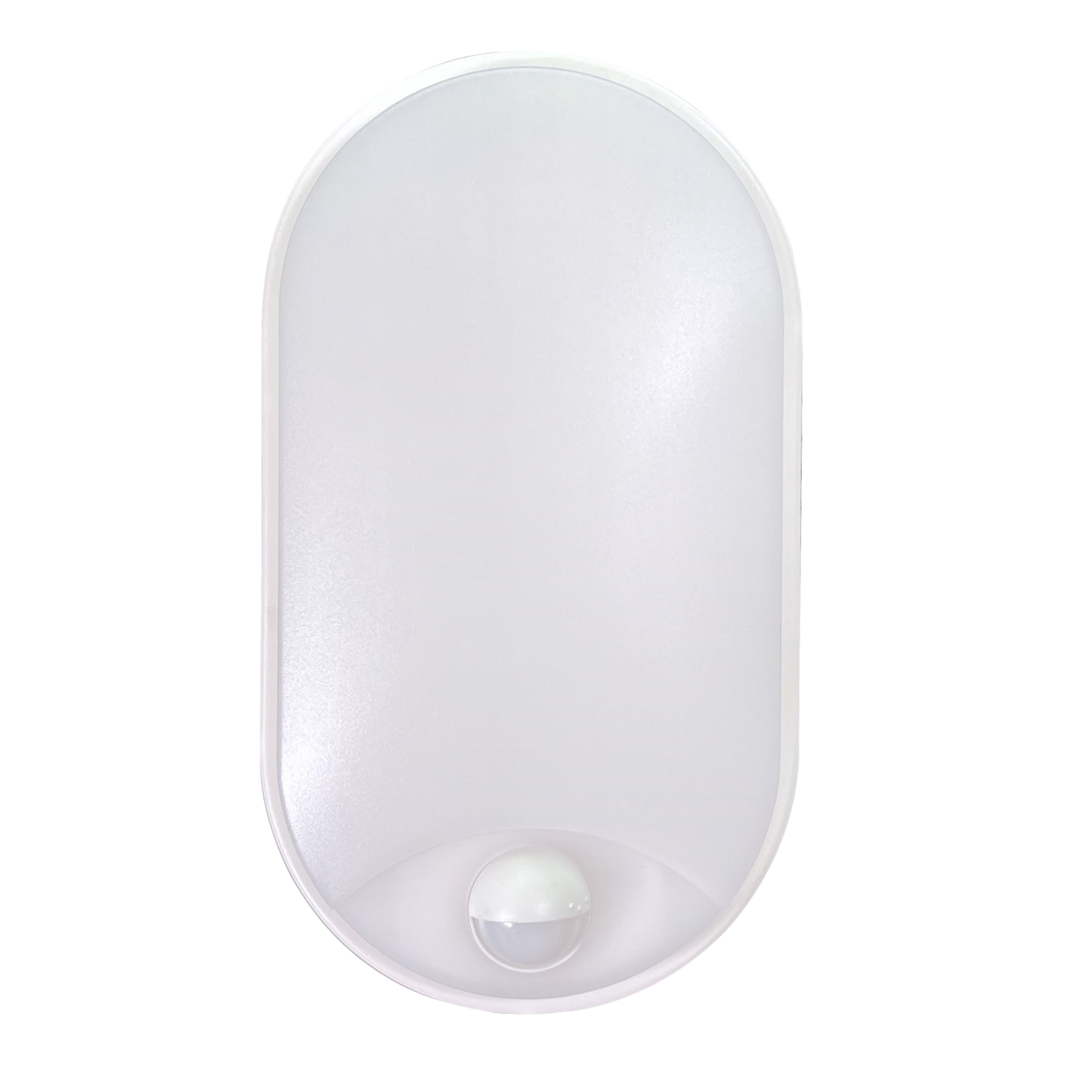 photo_de_face_64160010