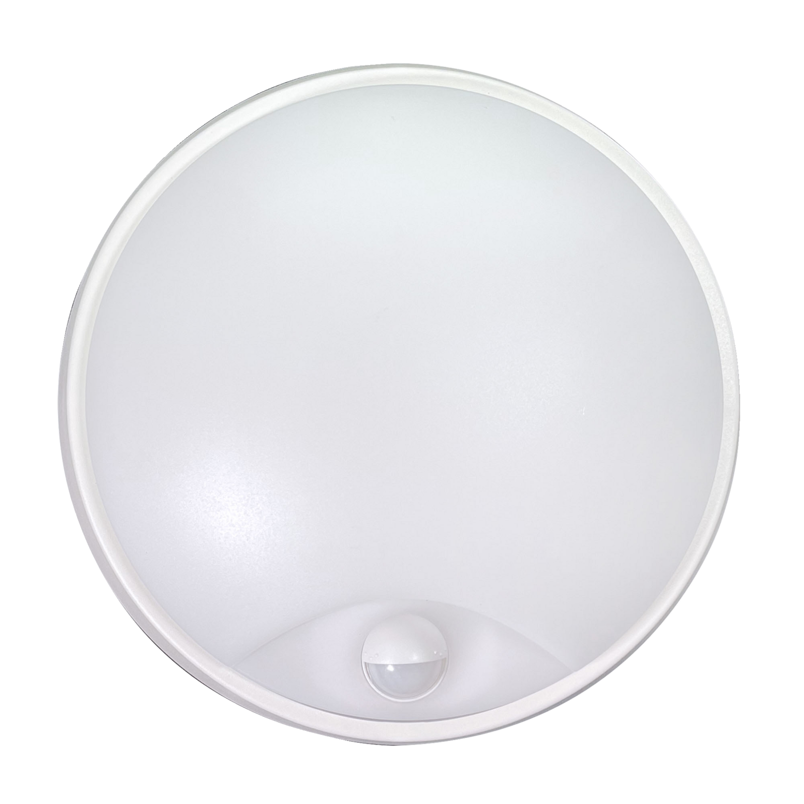 photo_de_face_64172310