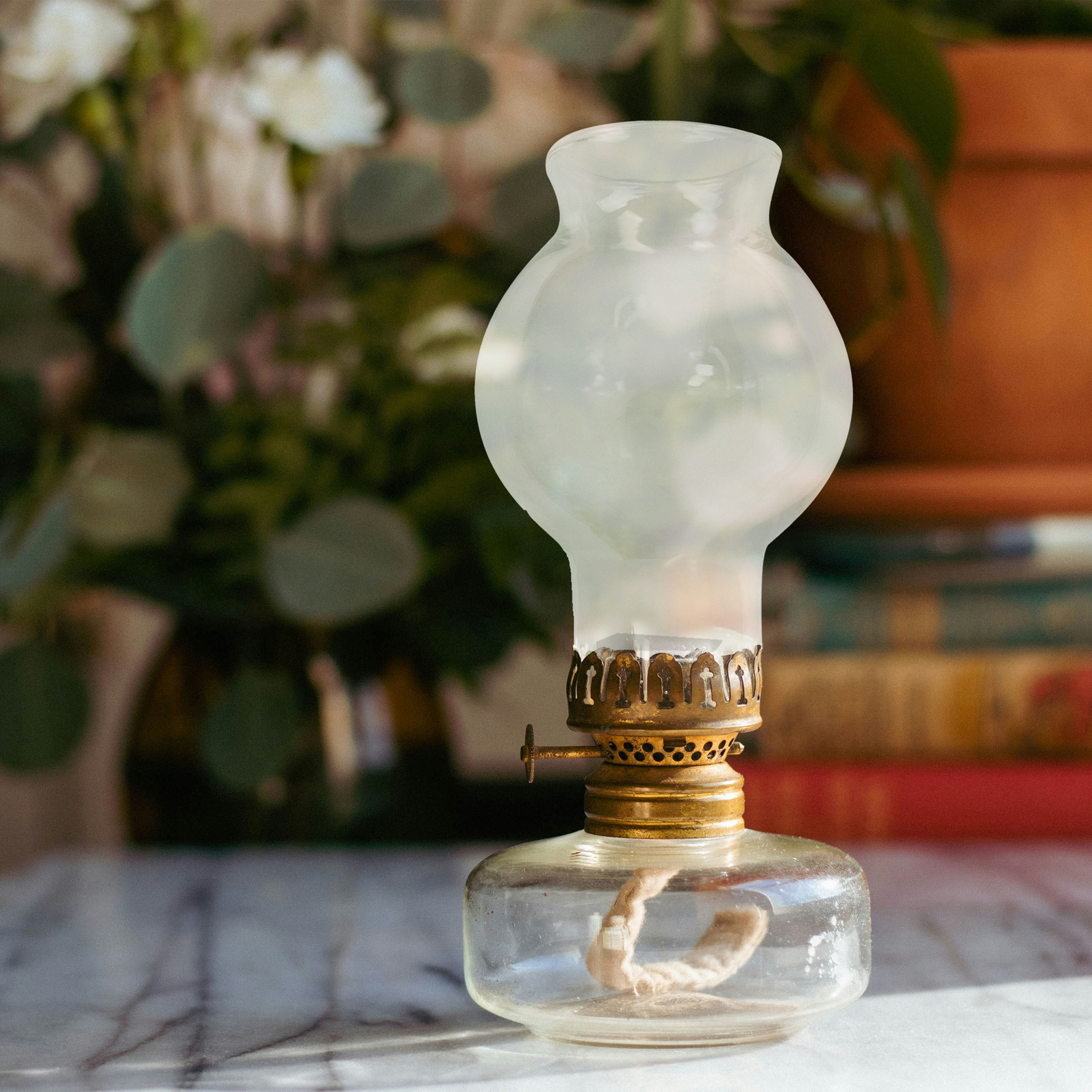 photo_de_situation_2250