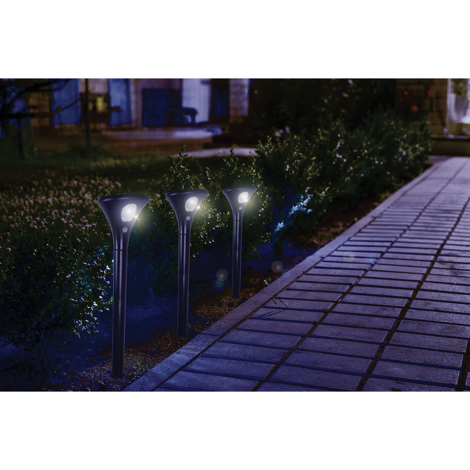 photo_de_situation_299420