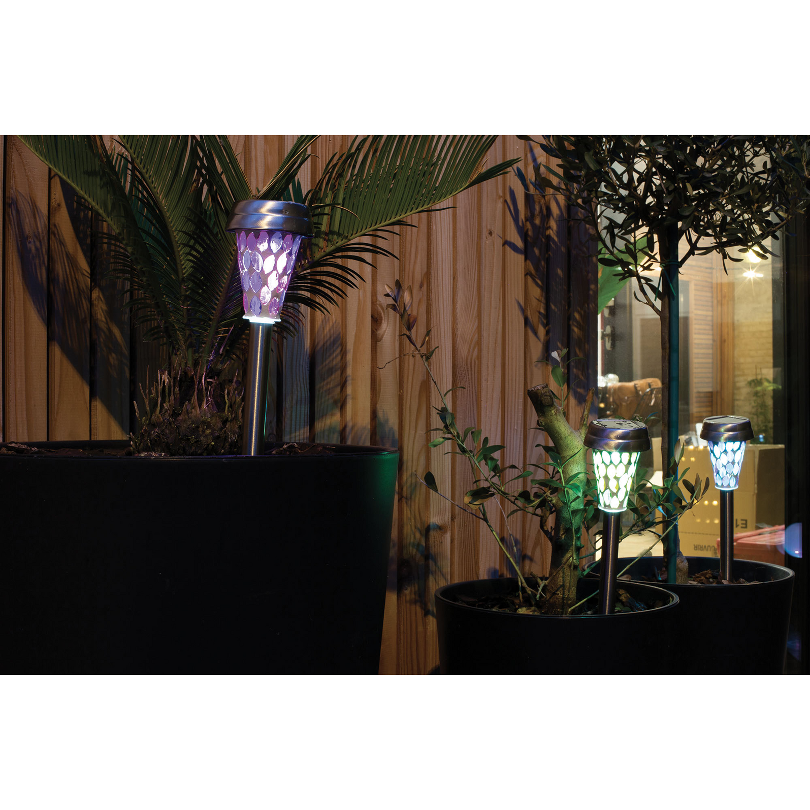 photo_complementaire_1_299690