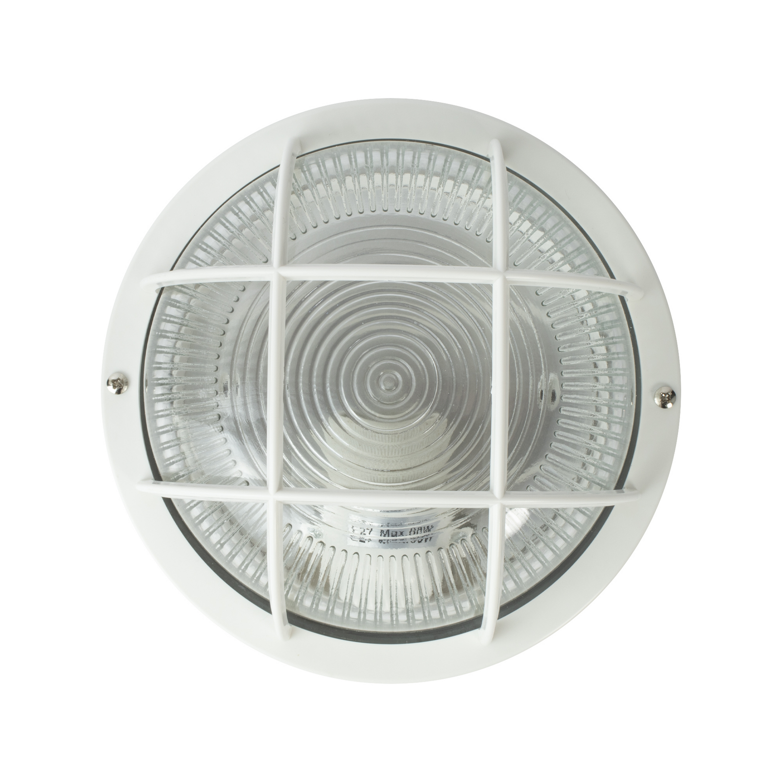 photo_de_face_340210