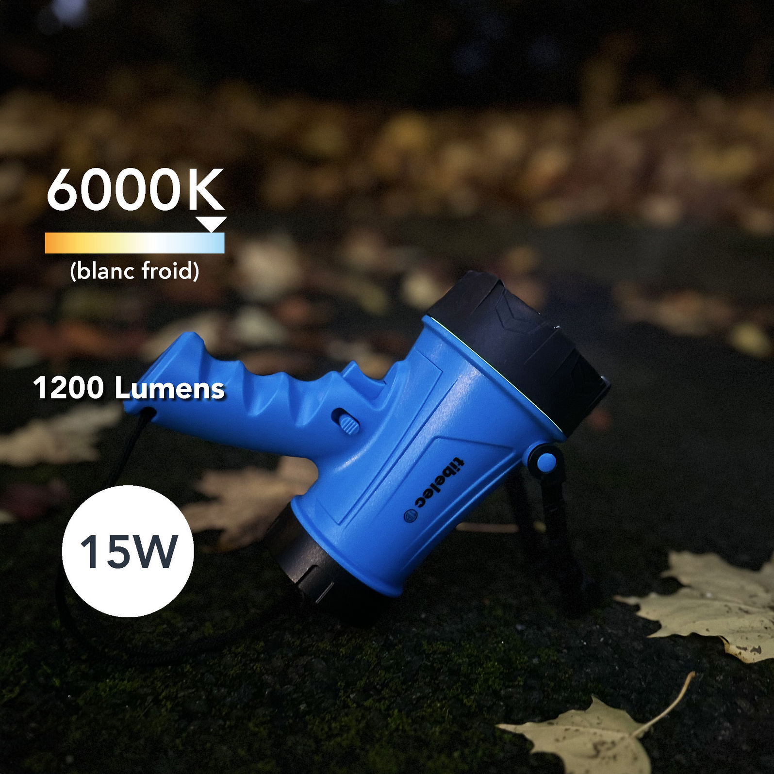 photo_de_situation_35600100