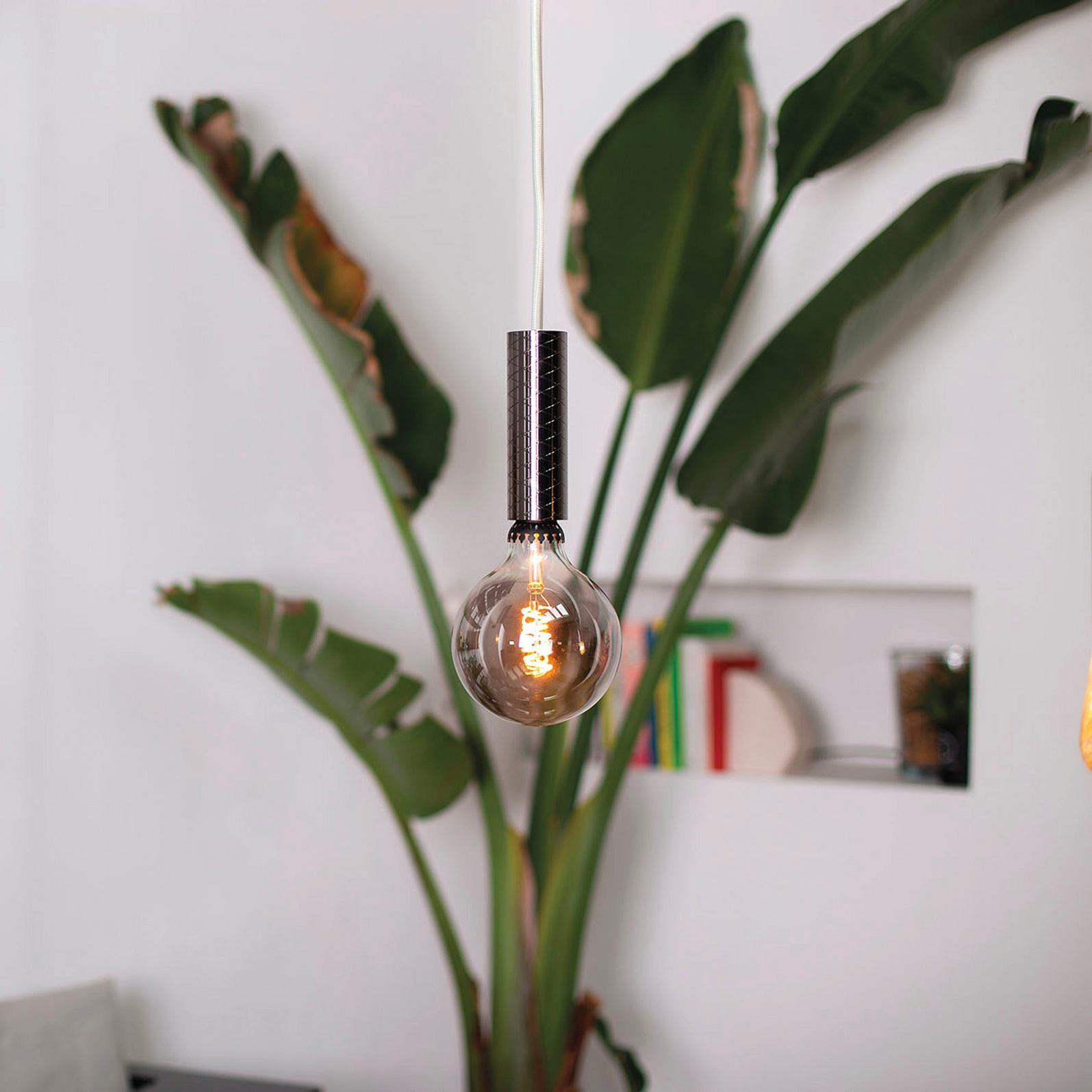 photo_de_situation_45100210