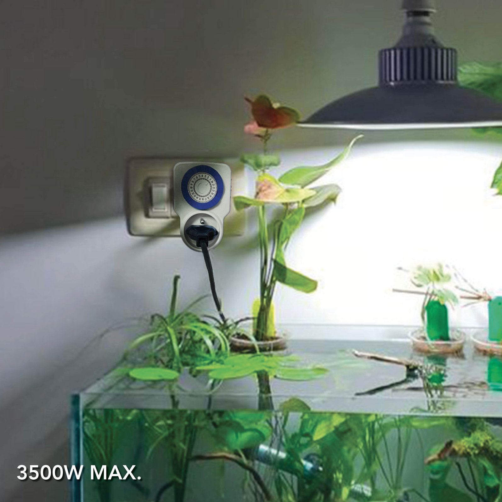 photo_de_situation_560310