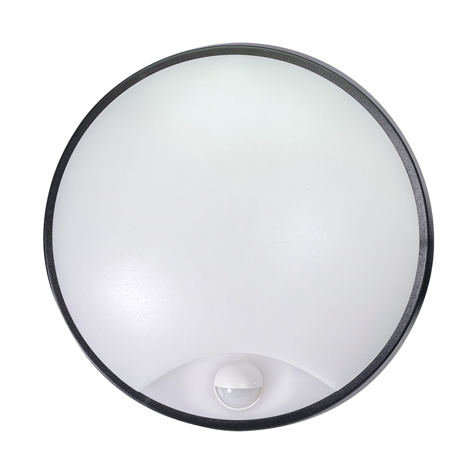 photo_de_face_64172320