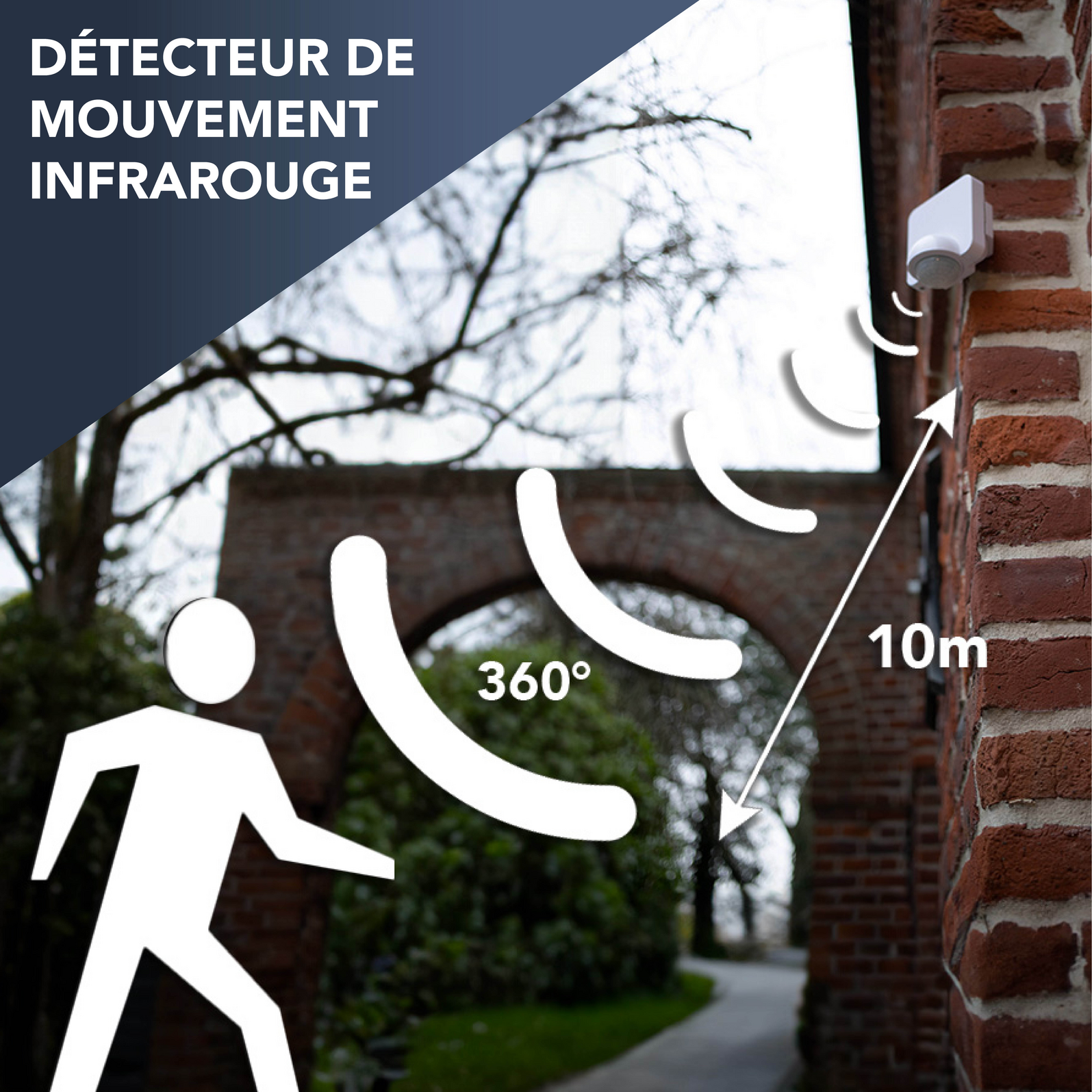 photo_detection_77100110