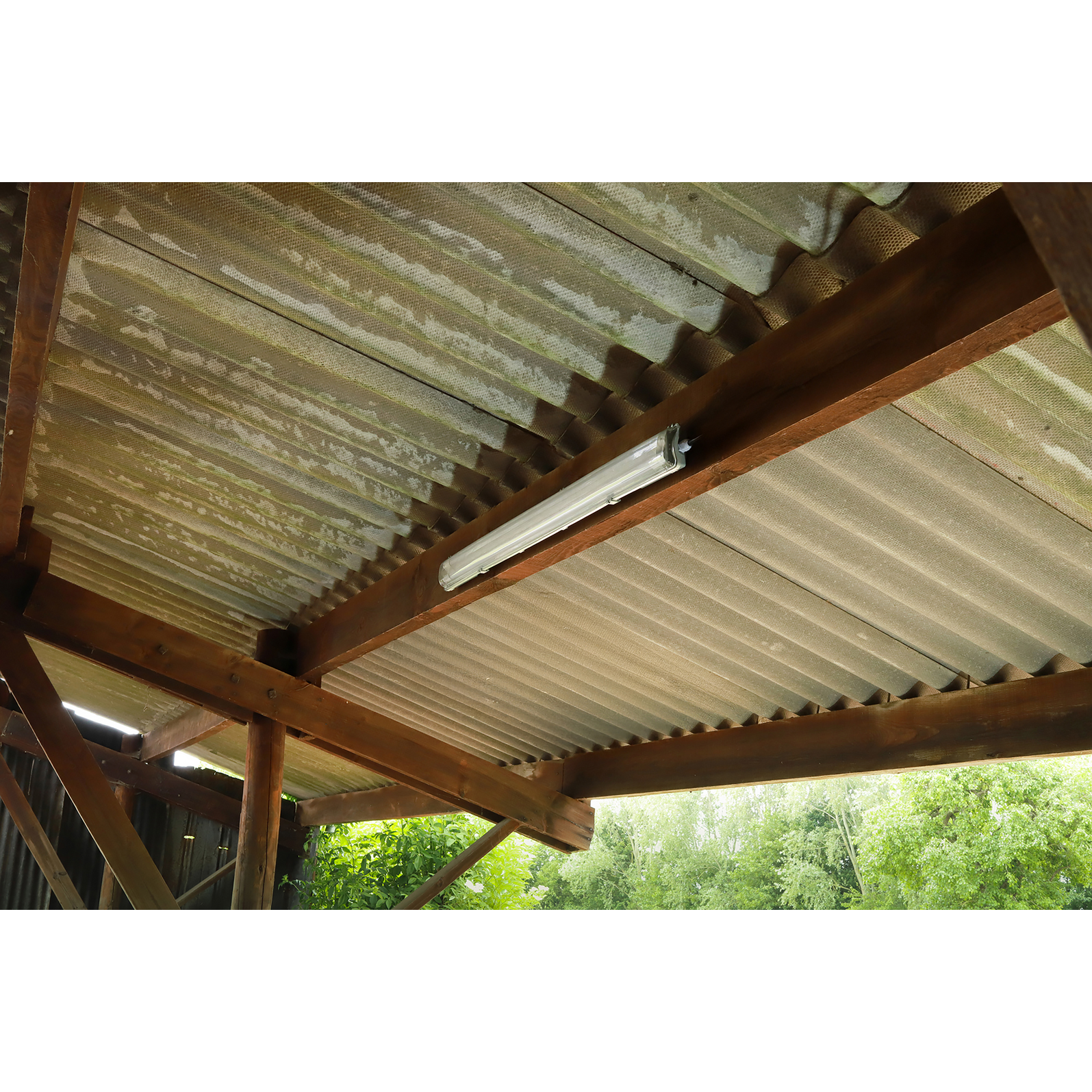 photo_complementaire_1_302310