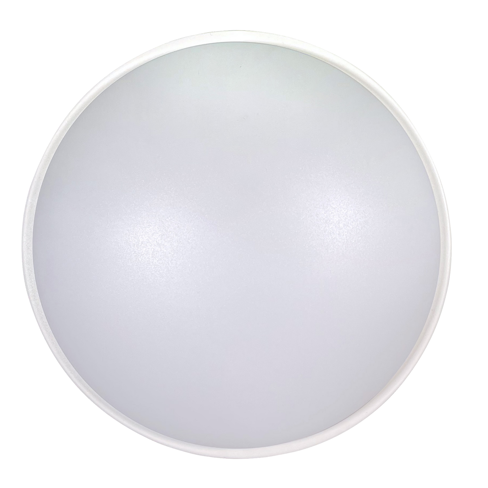 photo_de_face_64158710