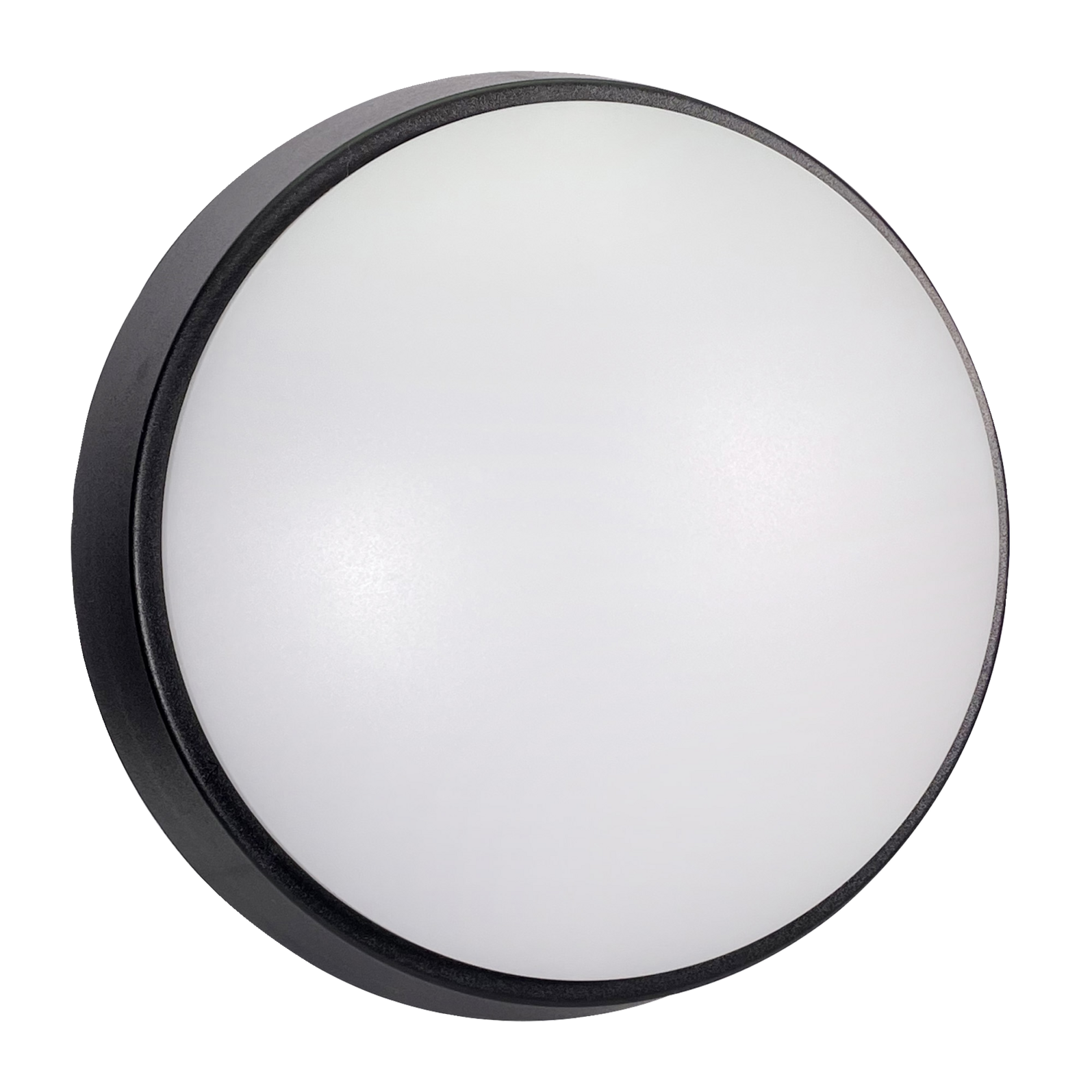 photo_principale_64158720