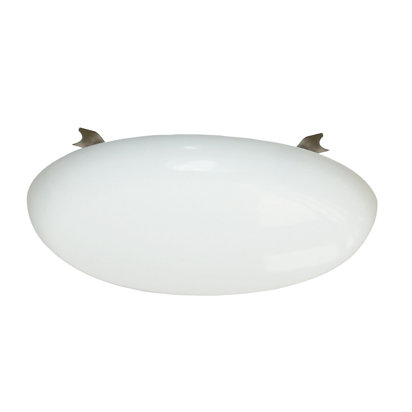 photo_principale_718330