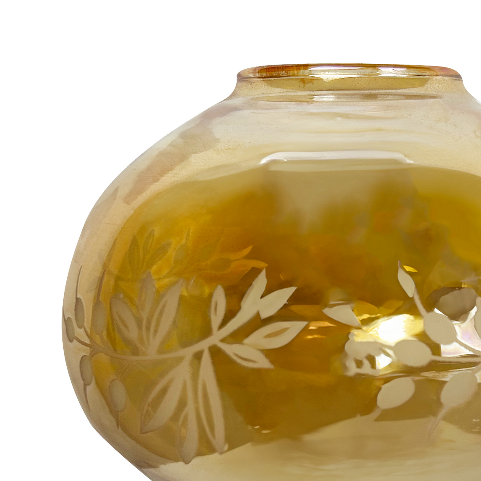 photo_complementaire_1_17110