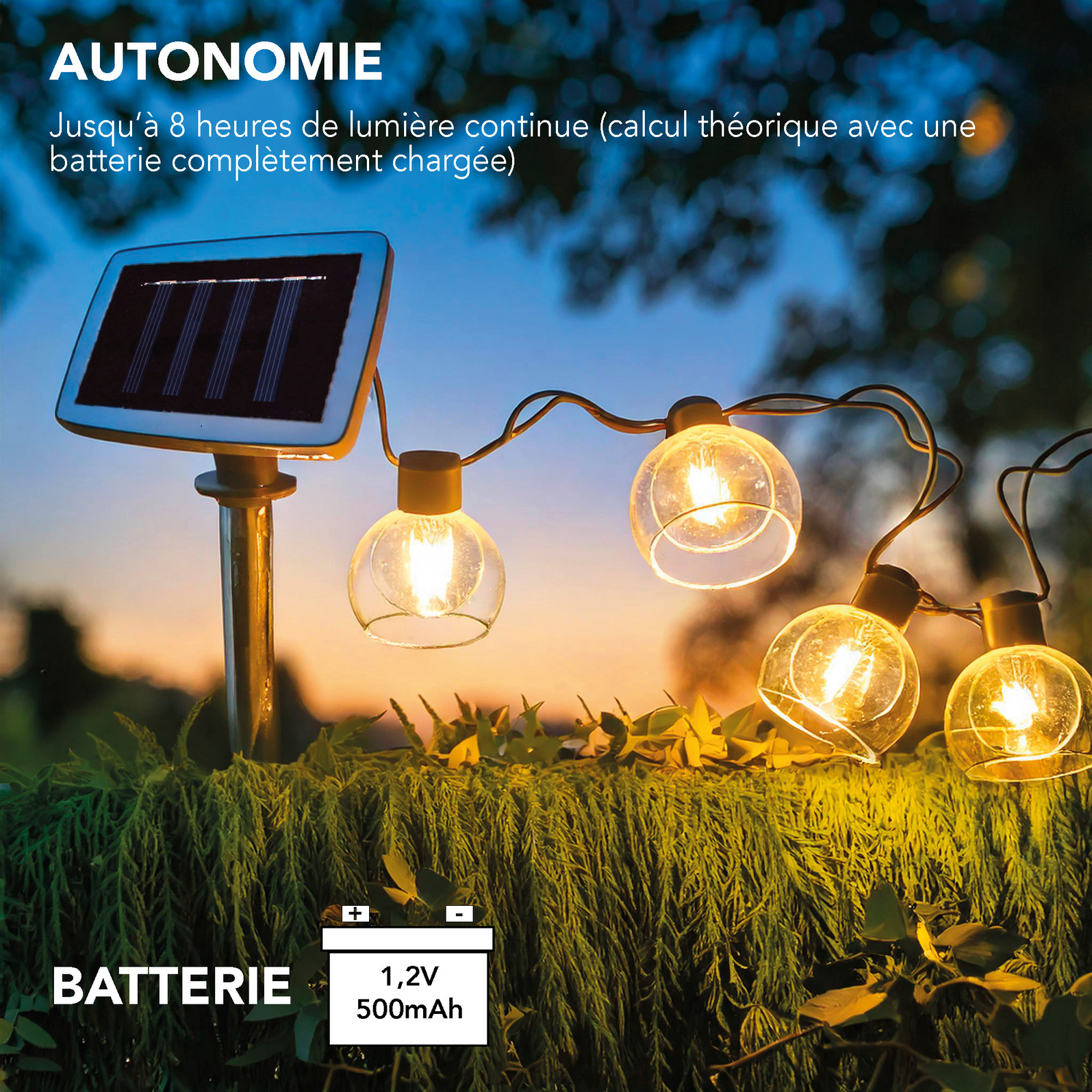 photo_complementaire_2_299720