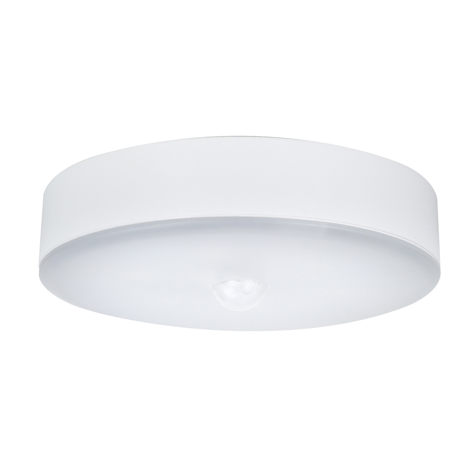 photo_principale_342540