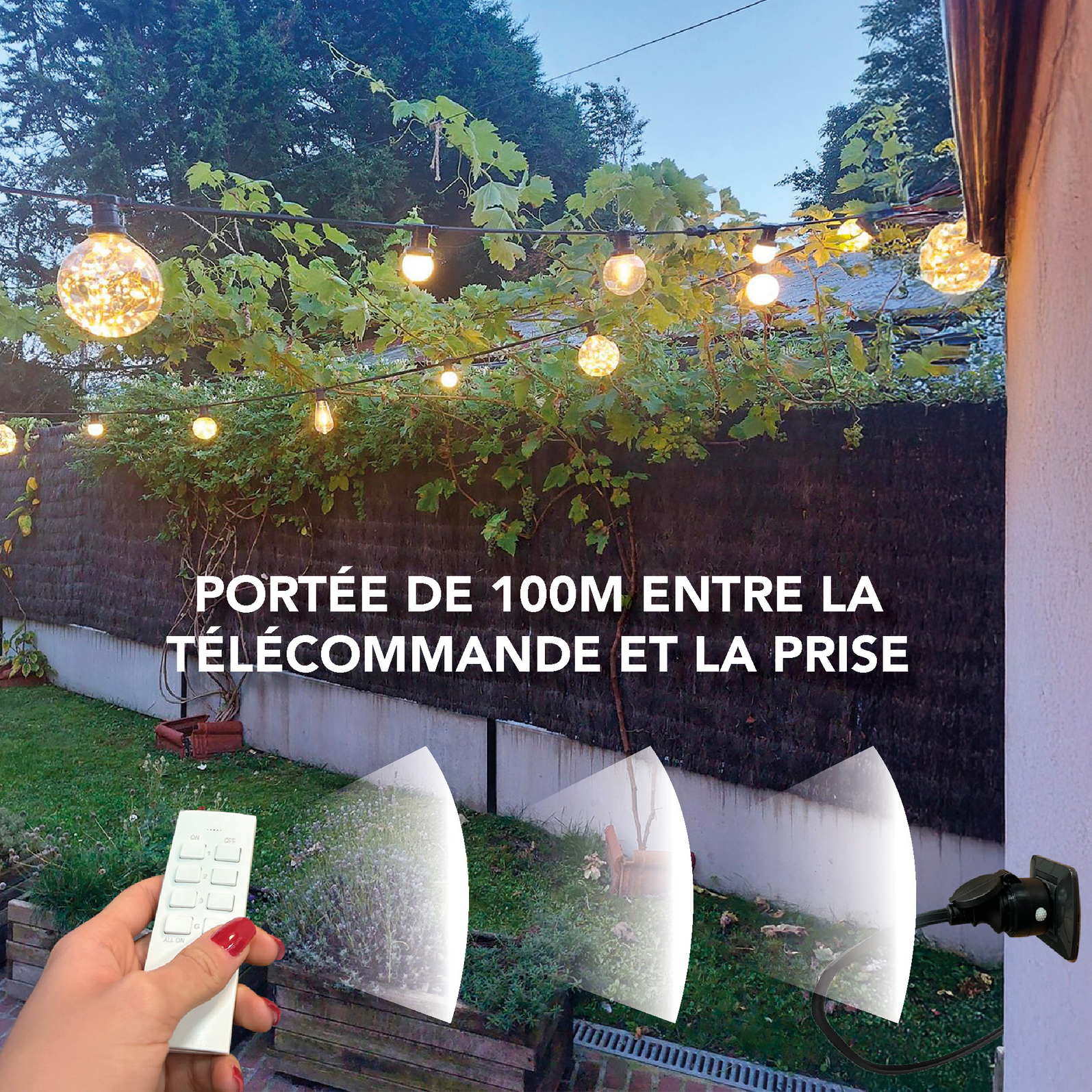 photo_complementaire_1_54110620