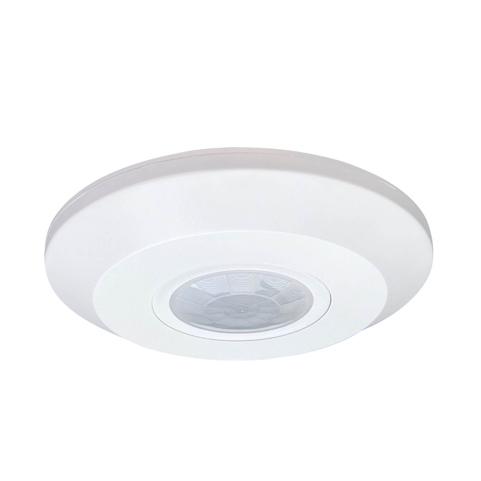 photo_principale_579310